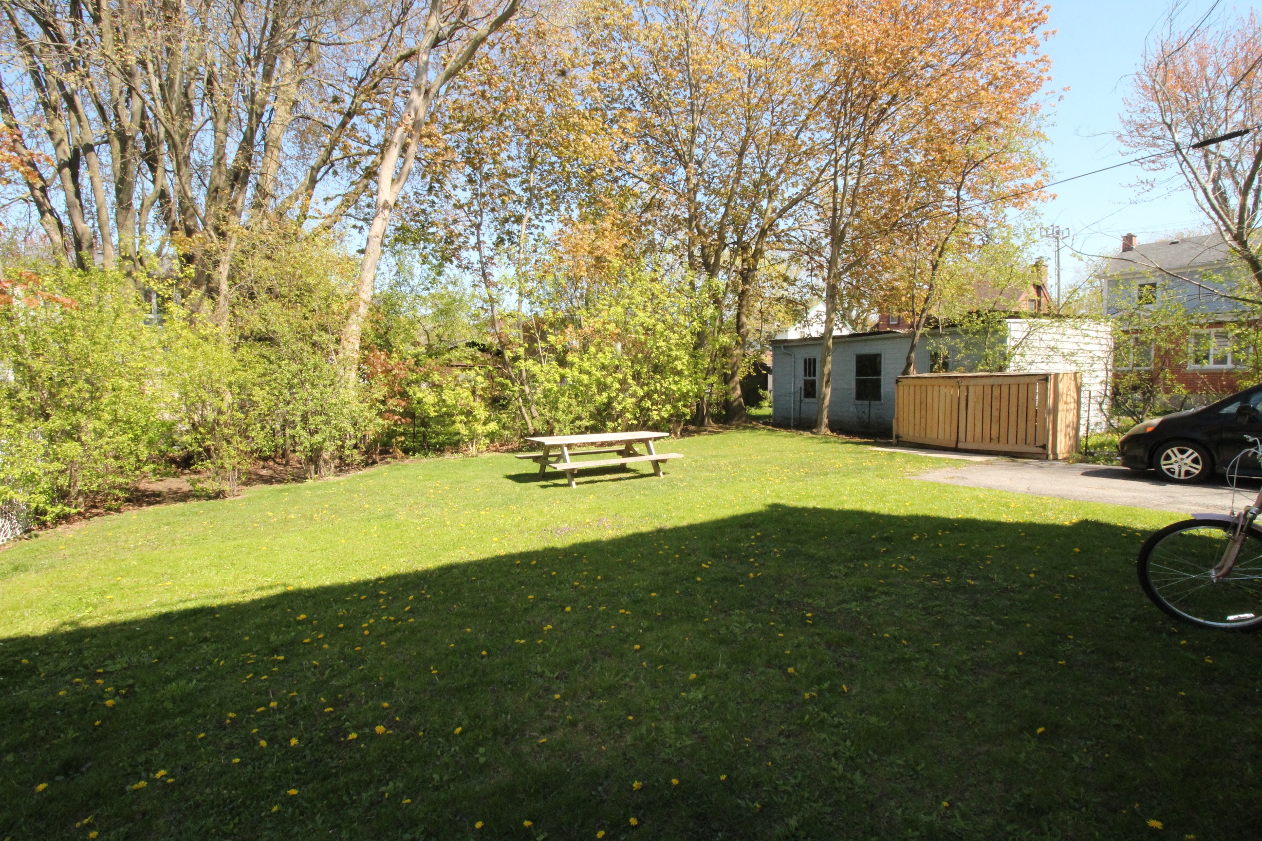 261 College St Backyard